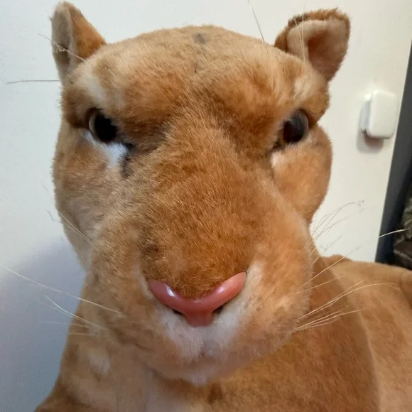 Vtg 42” Big Stuffed Animal Plush Realistic Lioness Best Made Toys Canada Nice!